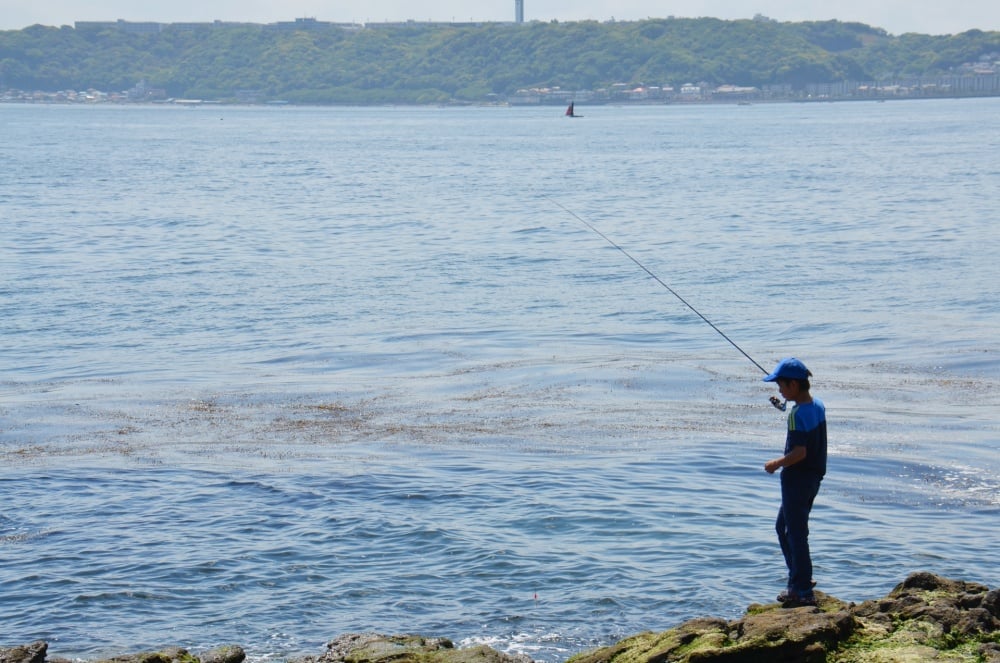 サビキ釣りのコツとは