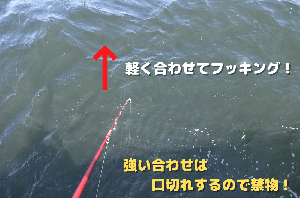 サビキ釣りの合わせは軽めに