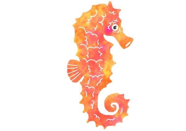 タツノオトシゴはイラスト映えする魚