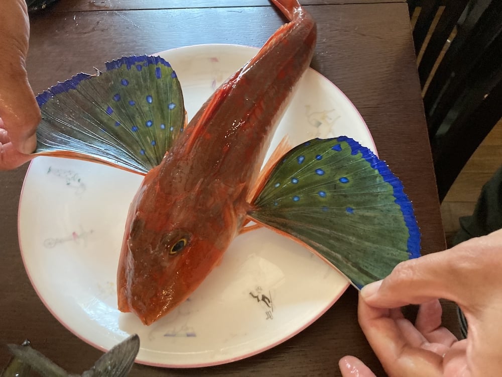 ホウボウの名前の由来