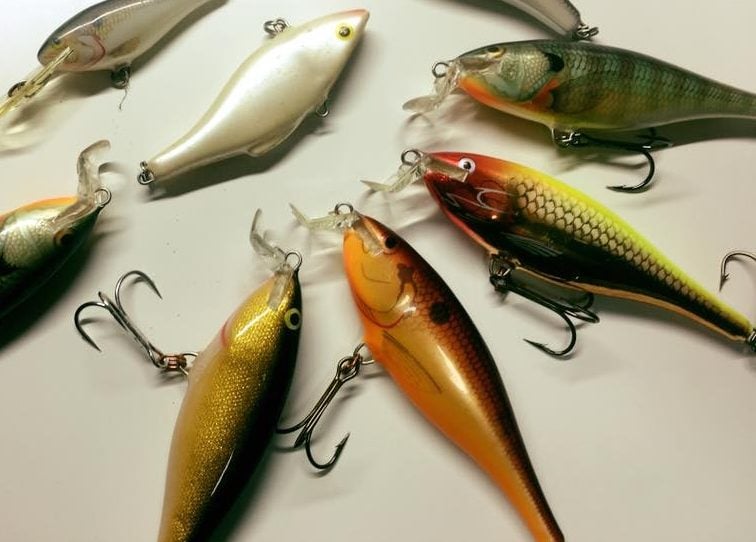 ラパラで大物釣り！