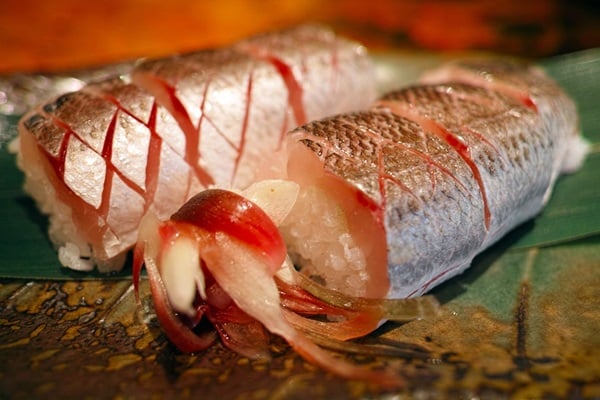 カマス釣り　美味しく食べよう