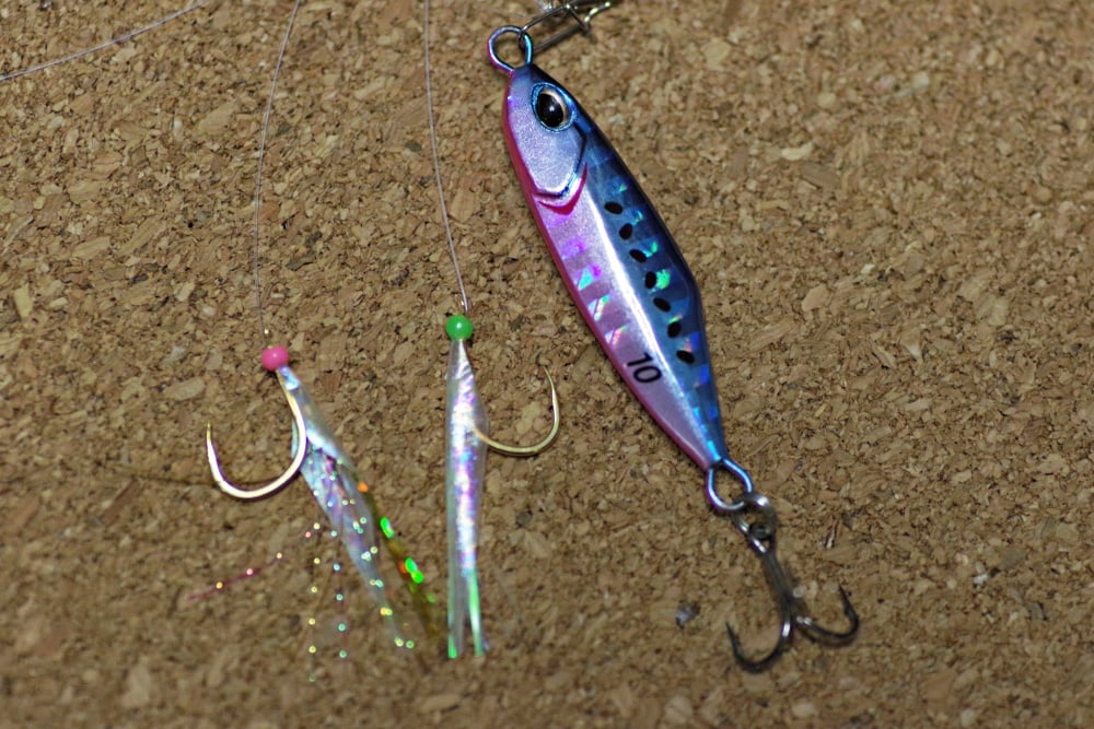 ジグサビキとサビキ釣りの違胃は？