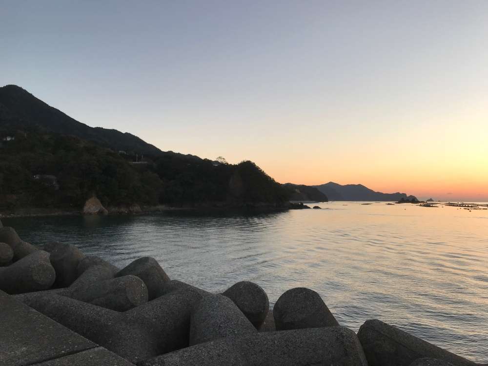 メバル釣りが楽しめるのはどんなポイント？