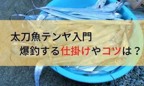 太刀魚テンヤで爆釣!