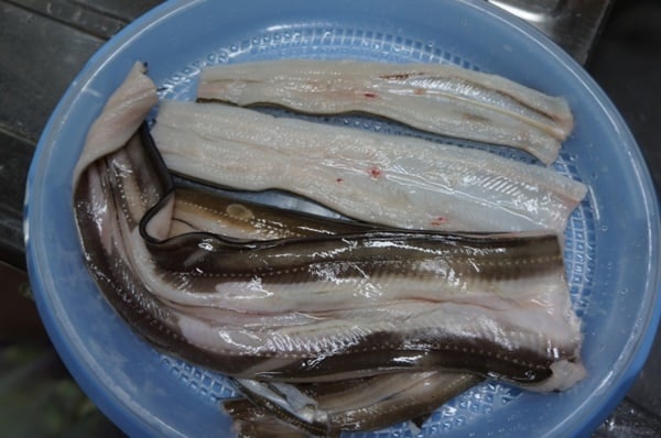 アナゴは捌くのが難しい？