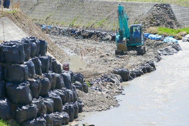 ワタカの生息地は減っている