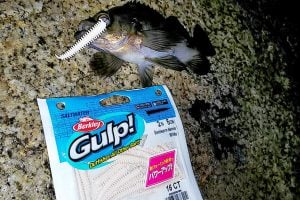 ガルプがすごい！