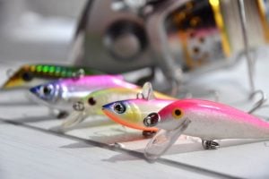 ソルトルアーは種類がいっぱい
