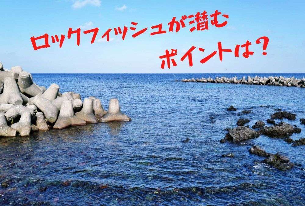 ロックフィッシュはどんな場所にいる？