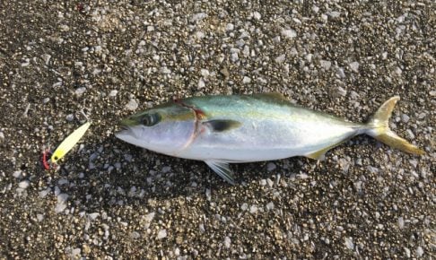 ジグキャスターで釣り!
