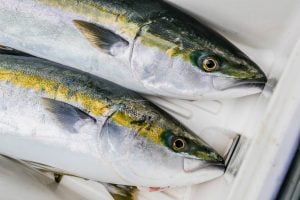 ブリを食べよう