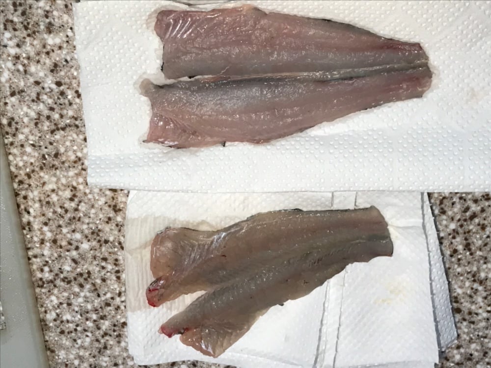 ギギは綺麗な白身