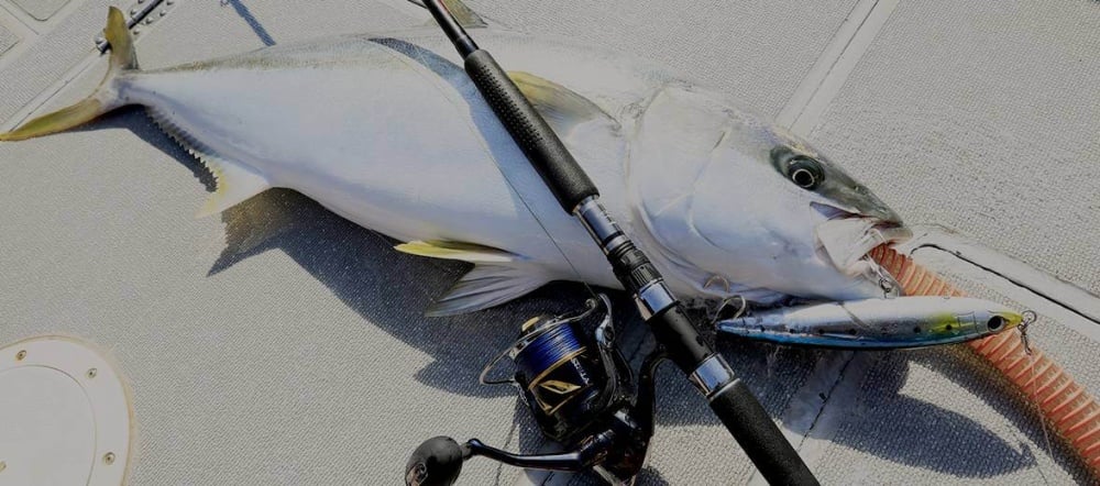 ステラSWで至高の釣りを