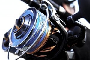 ステラSWの性能とは
