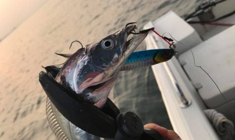 サムライジグはあらゆる魚種に効く万能ジグ！