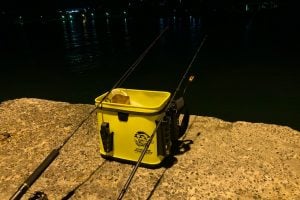 夜釣りは楽しい！