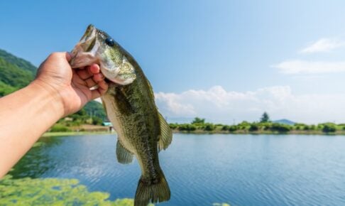 ヘビキャロを使いこなして釣果に差をつけろ!