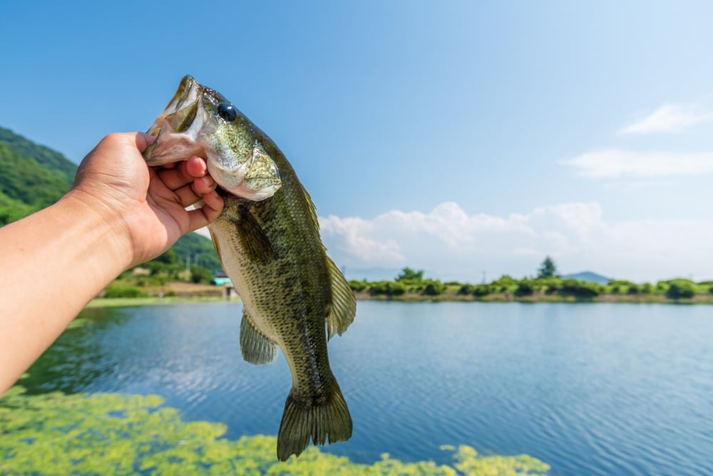 ヘビキャロを使いこなして釣果に差をつけろ！