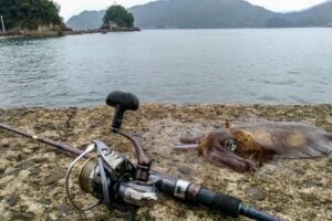 エギングロッドの特徴とは