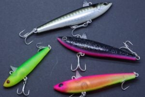 ローリングベイトでルアーフィッシングを楽しもう！