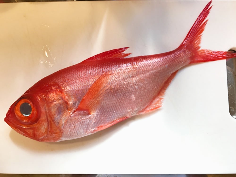 キンメダイってどんな魚？