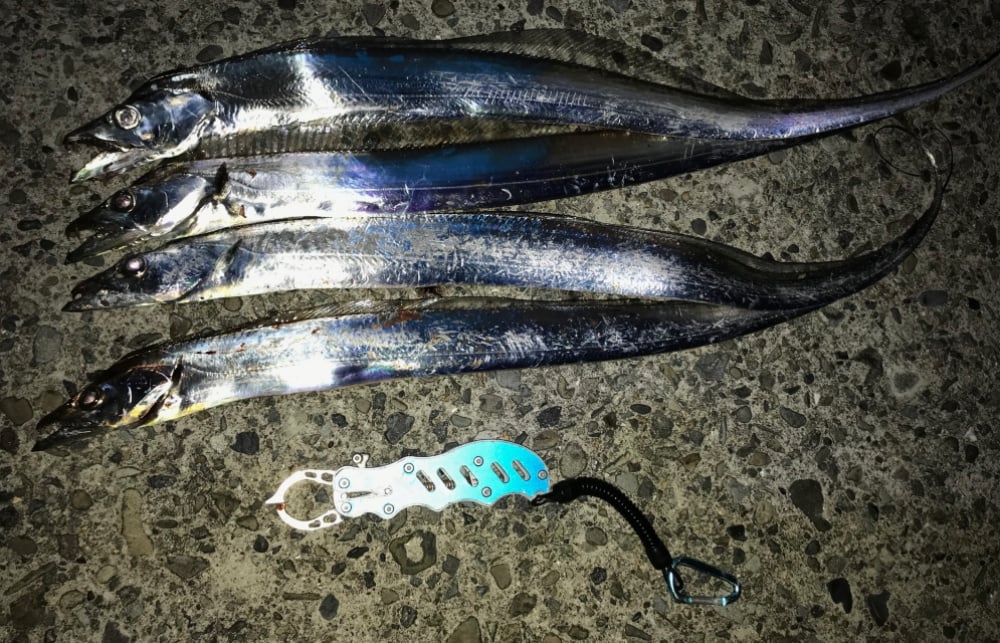 太刀魚ワインドを手軽に楽しもう