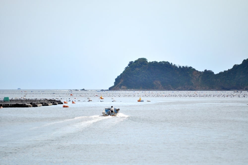 関東に筏釣りポイントはある？