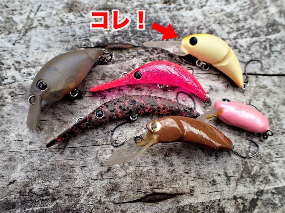 ふわとろってどんなルアー？