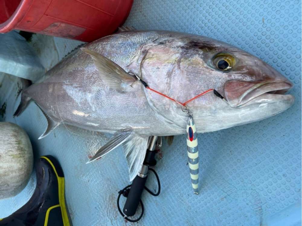 ジギングは大物が狙える夢の釣り！
