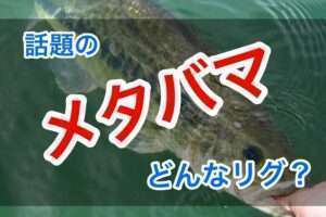 メタバマってどんなリグ？