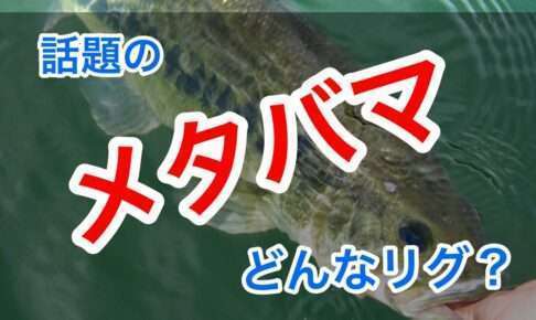 メタバマってどんなリグ?