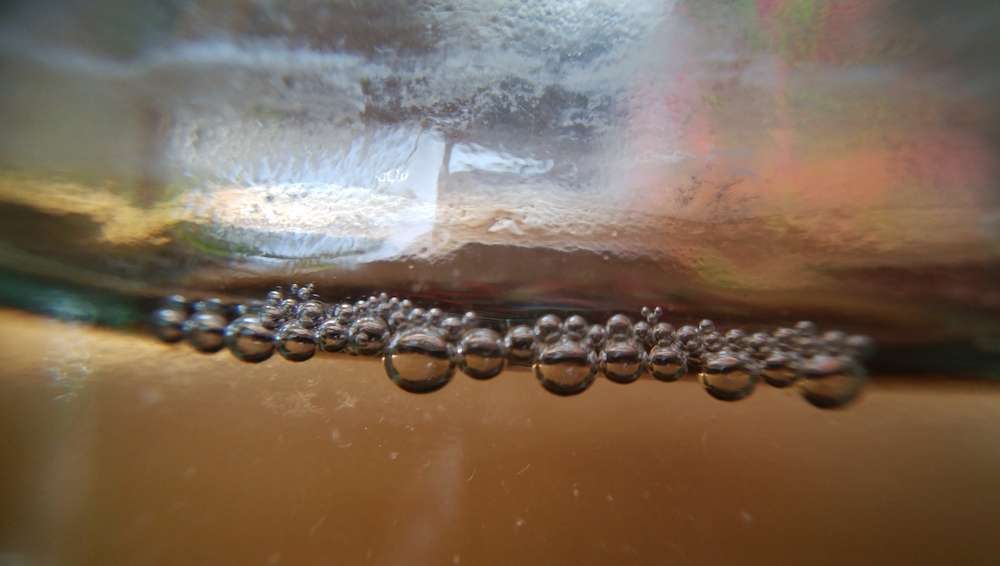 めだかの稚魚が餌を食べない理由
