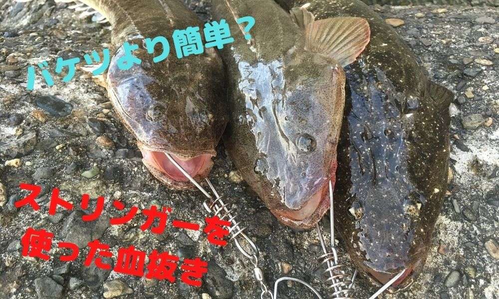 ストリンガーを使った血抜きのメリットとは？