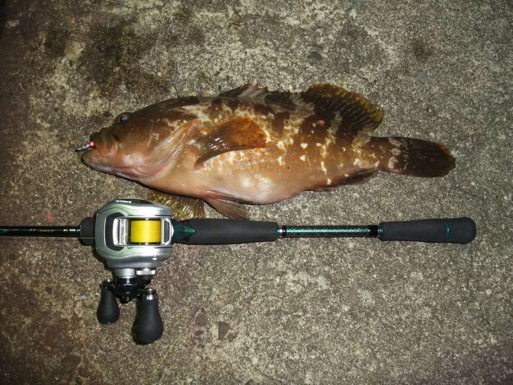 バグアンツの定番サイズ
