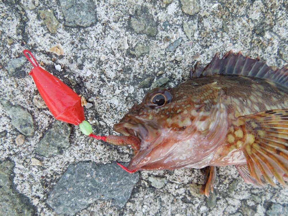 ブラクリは穴釣りの定番仕掛け